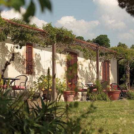 Agriturismo Bio Aia Della Colonna Saturnia Dış mekan fotoğraf
