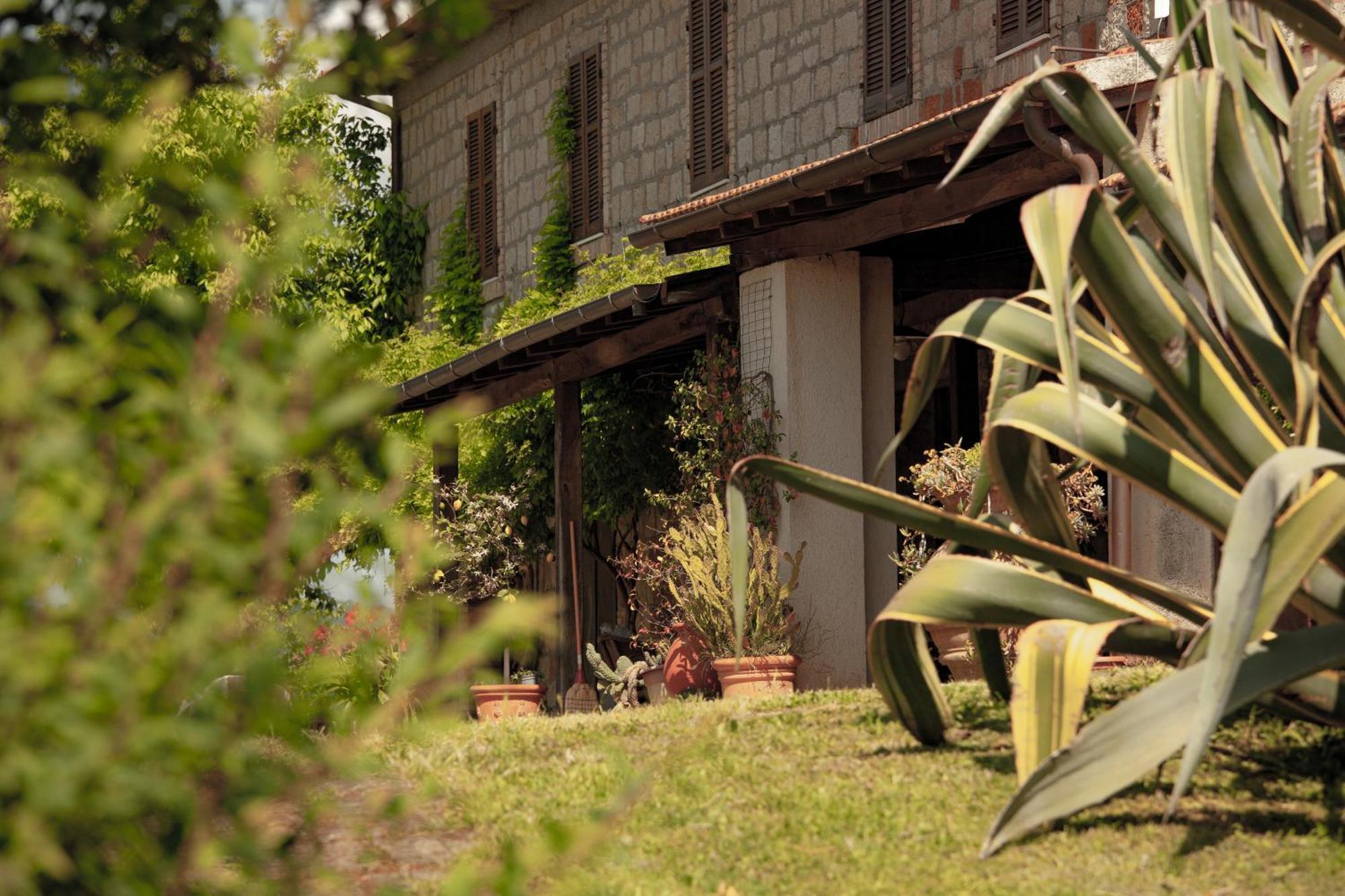 Agriturismo Bio Aia Della Colonna Saturnia Dış mekan fotoğraf